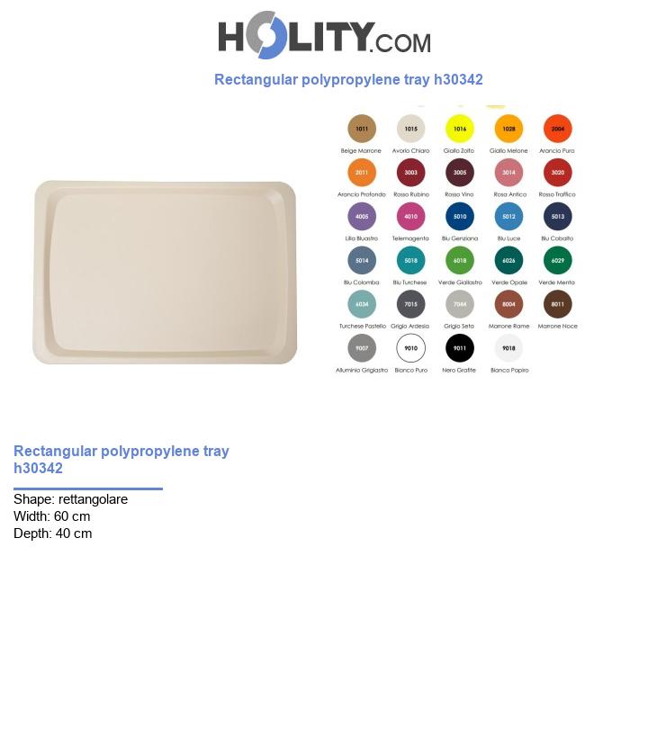 Rectangular polypropylene tray h30342