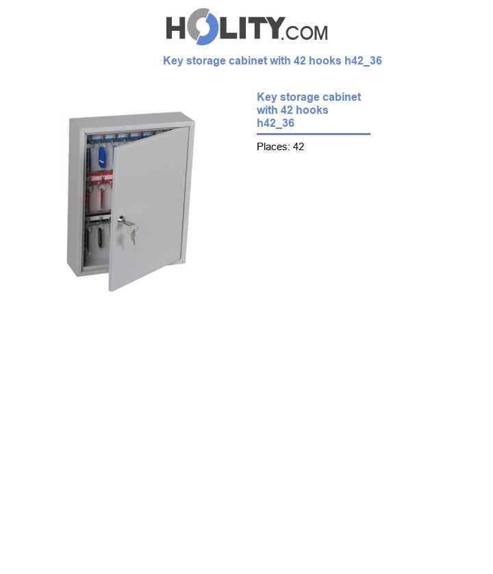 Key storage cabinet with 42 hooks h42_36