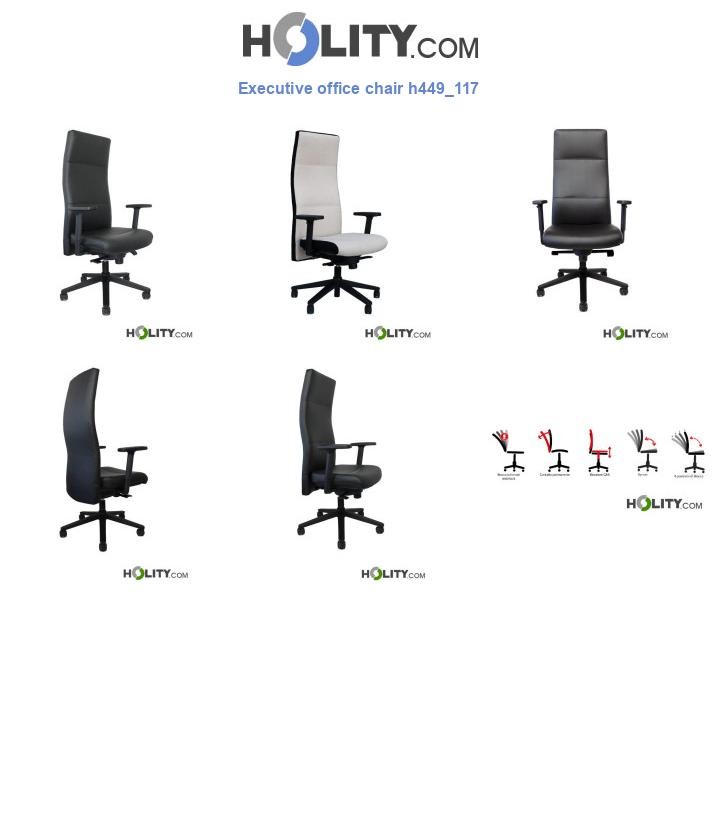 Executive office chair h449_117