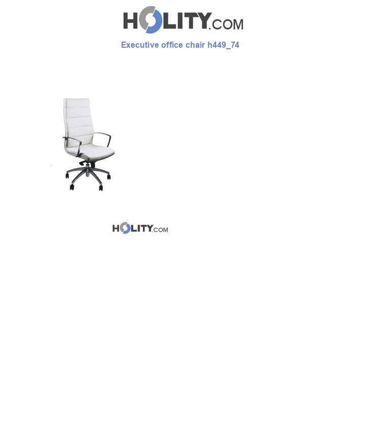 Executive office chair h449_74