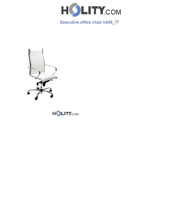 Executive office chair h449_77