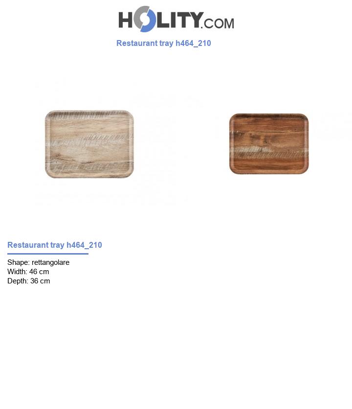 Restaurant tray h464_210