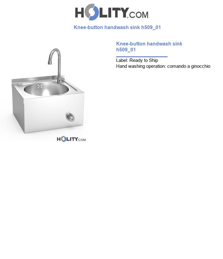Knee-button handwash sink h509_01