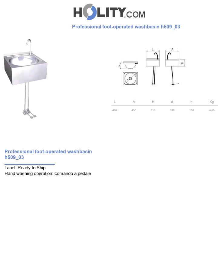 Professional foot-operated washbasin h509_03