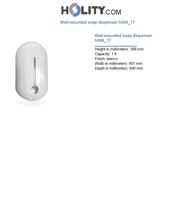 Wall-mounted soap dispenser h509_17