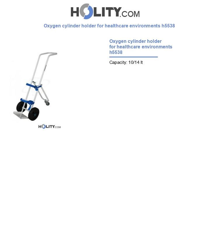 Oxygen cylinder holder for healthcare environments h5538