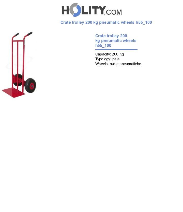 Crate trolley 200 kg pneumatic wheels h55_100