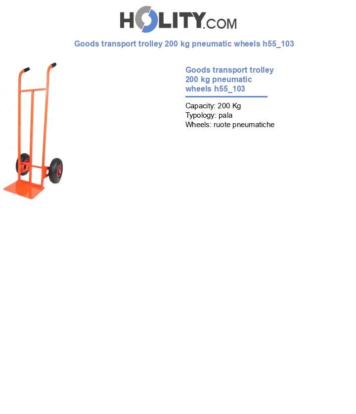 Goods transport trolley 200 kg pneumatic wheels h55_103