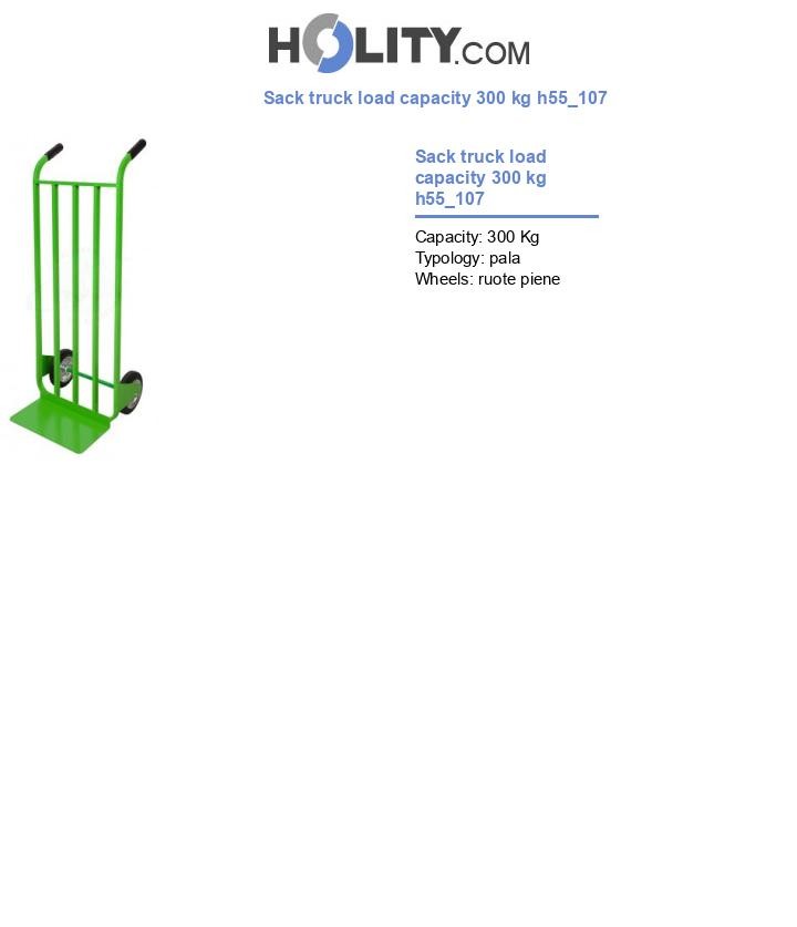 Sack truck load capacity 300 kg h55_107