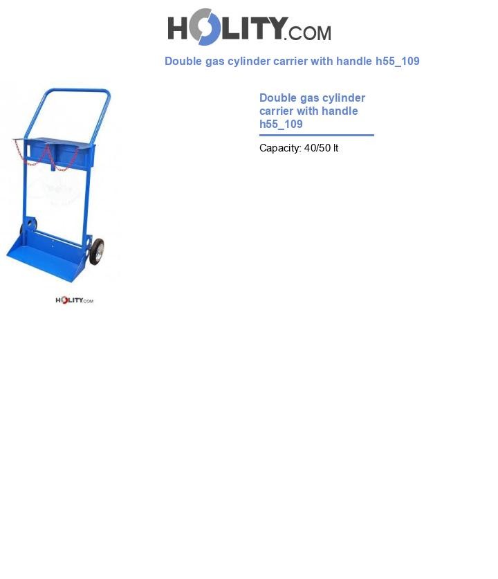 Double gas cylinder carrier with handle h55_109