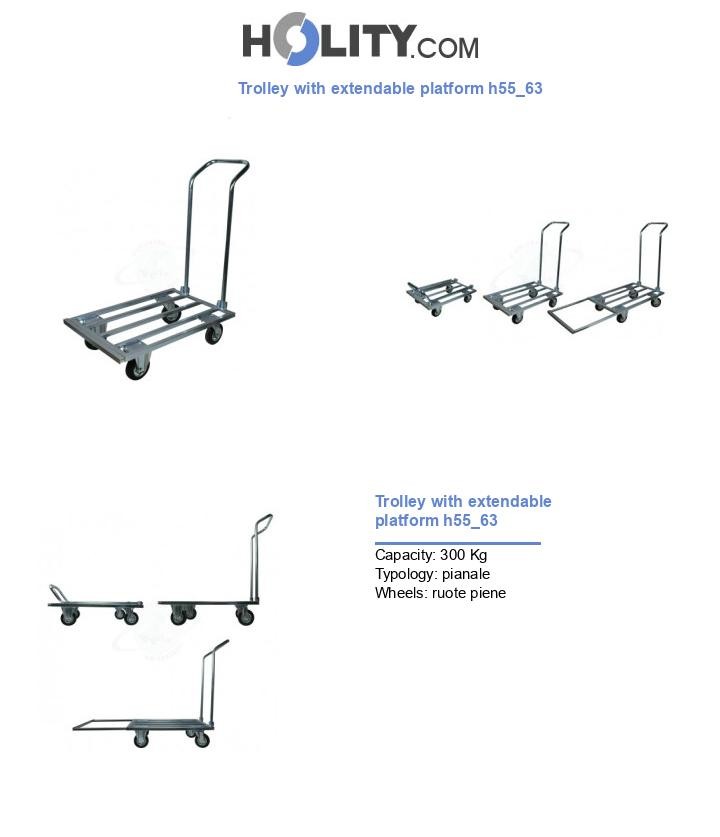 Trolley with extendable platform h55_63