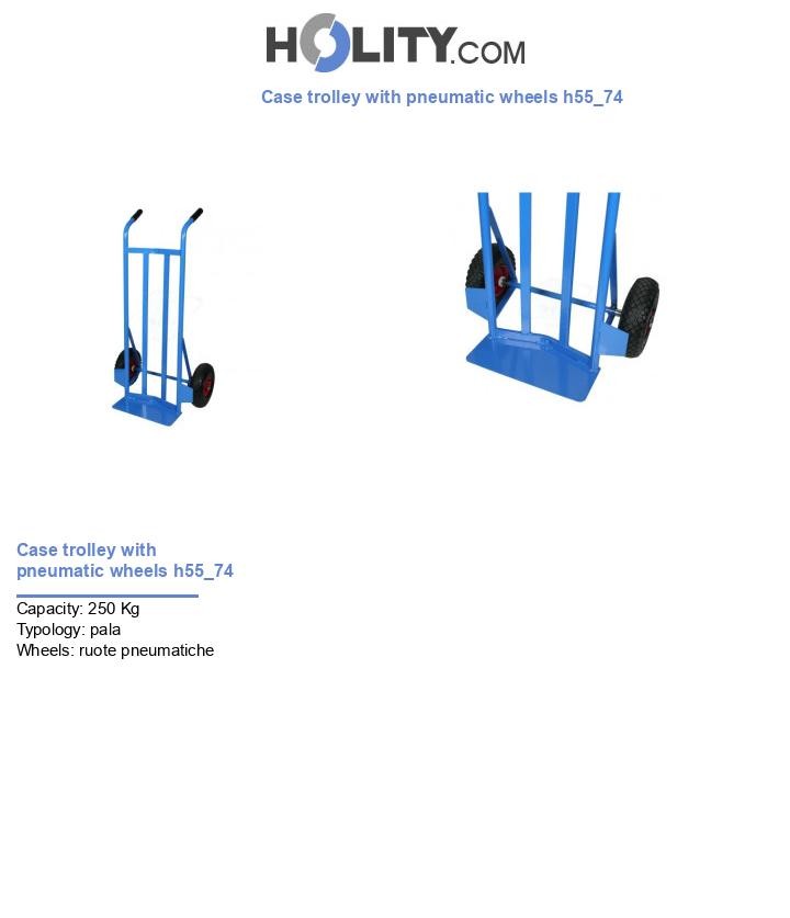 Case trolley with pneumatic wheels h55_74