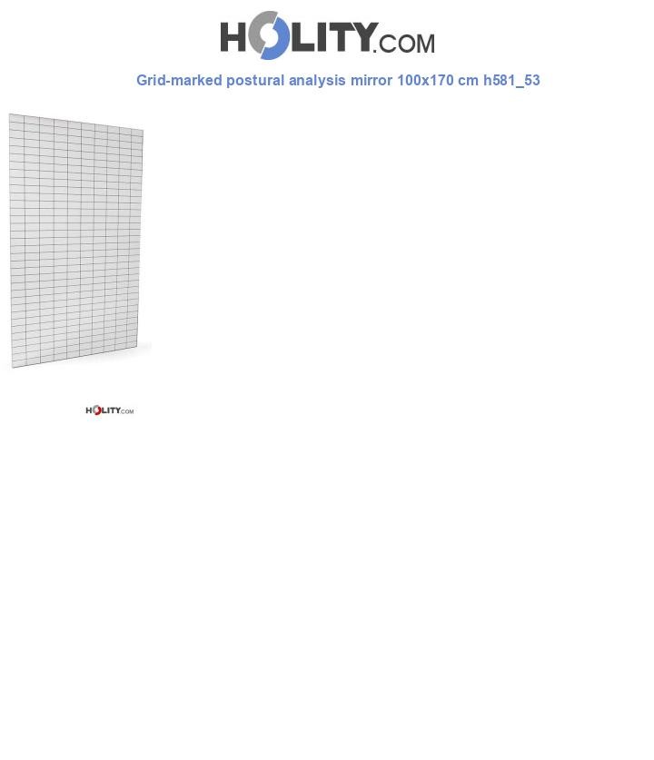 Grid-marked postural analysis mirror 100x170 cm h581_53