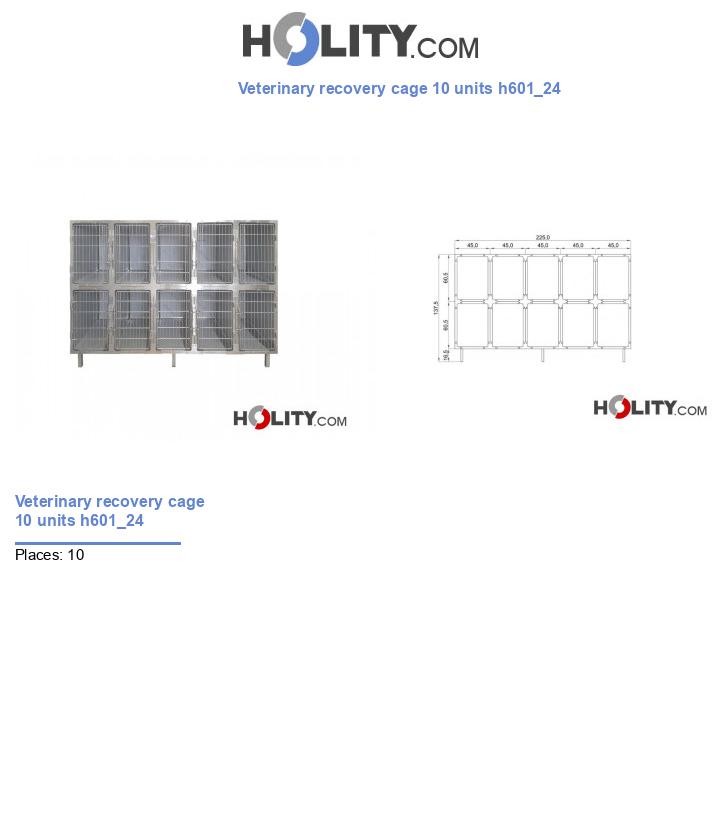 Veterinary recovery cage 10 units h601_24