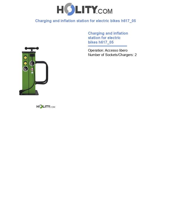 Charging and inflation station for electric bikes h617_05