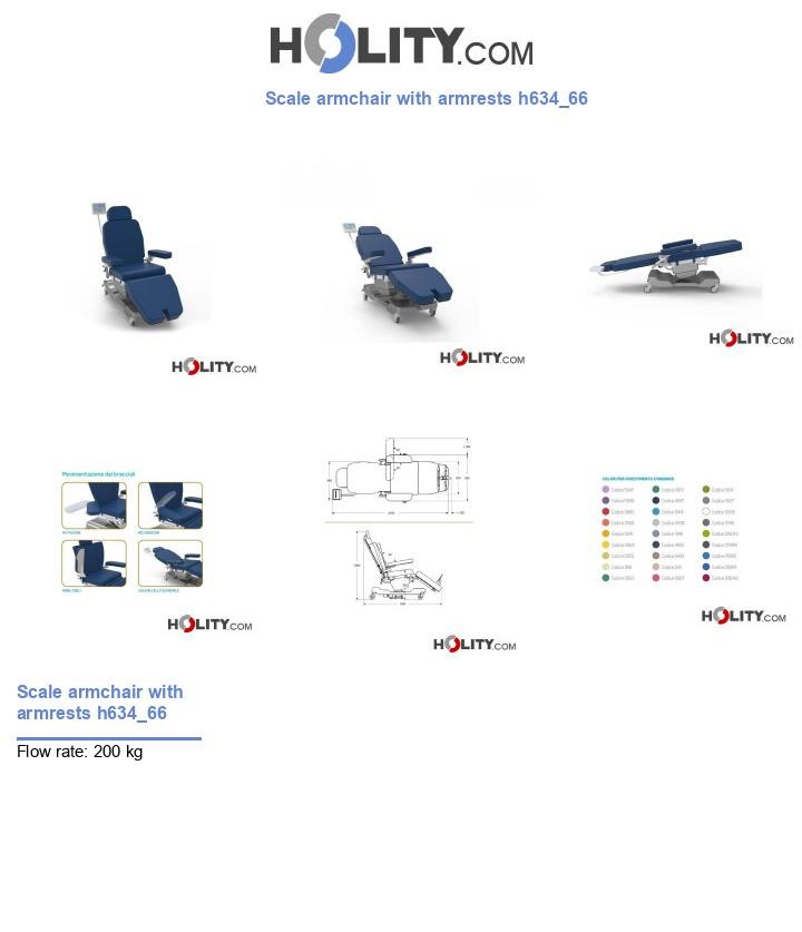 Scale armchair with armrests h634_66