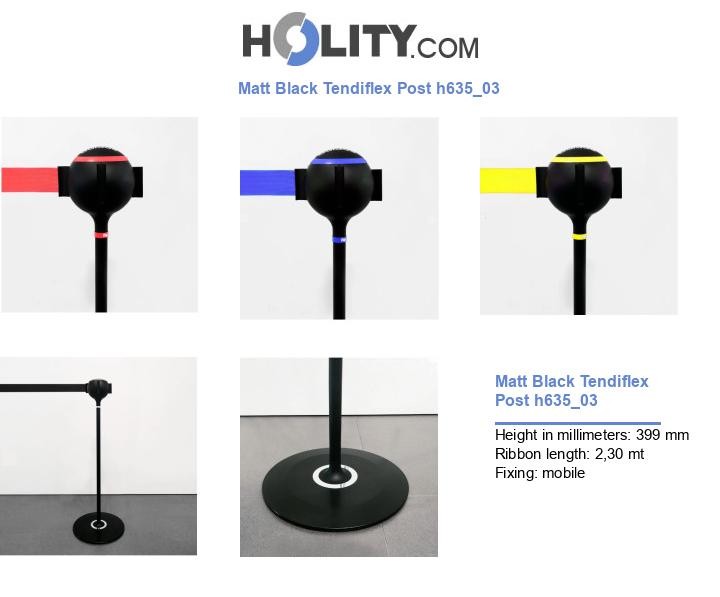 Matt Black Tendiflex Post h635_03