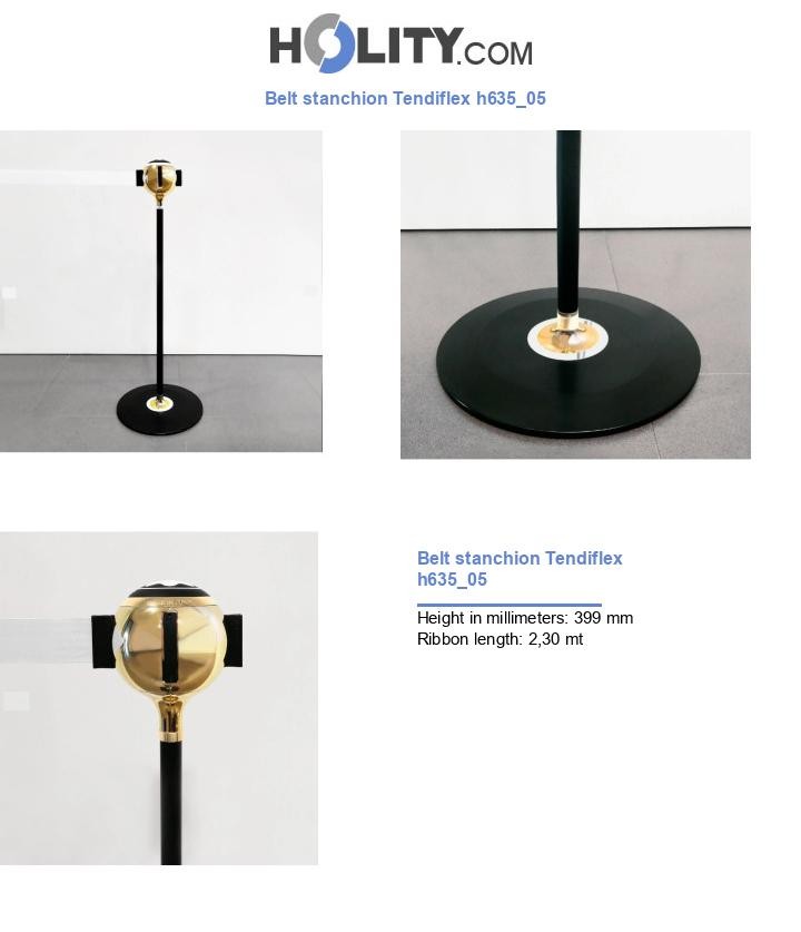 Belt stanchion Tendiflex h635_05