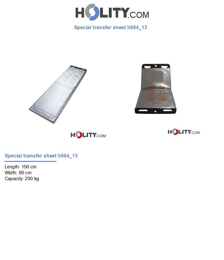 Special transfer sheet h664_13