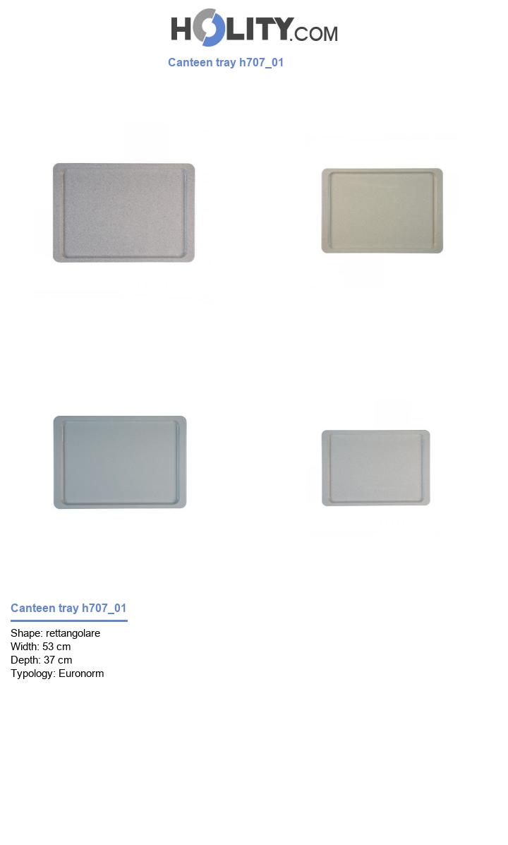 Canteen tray h707_01