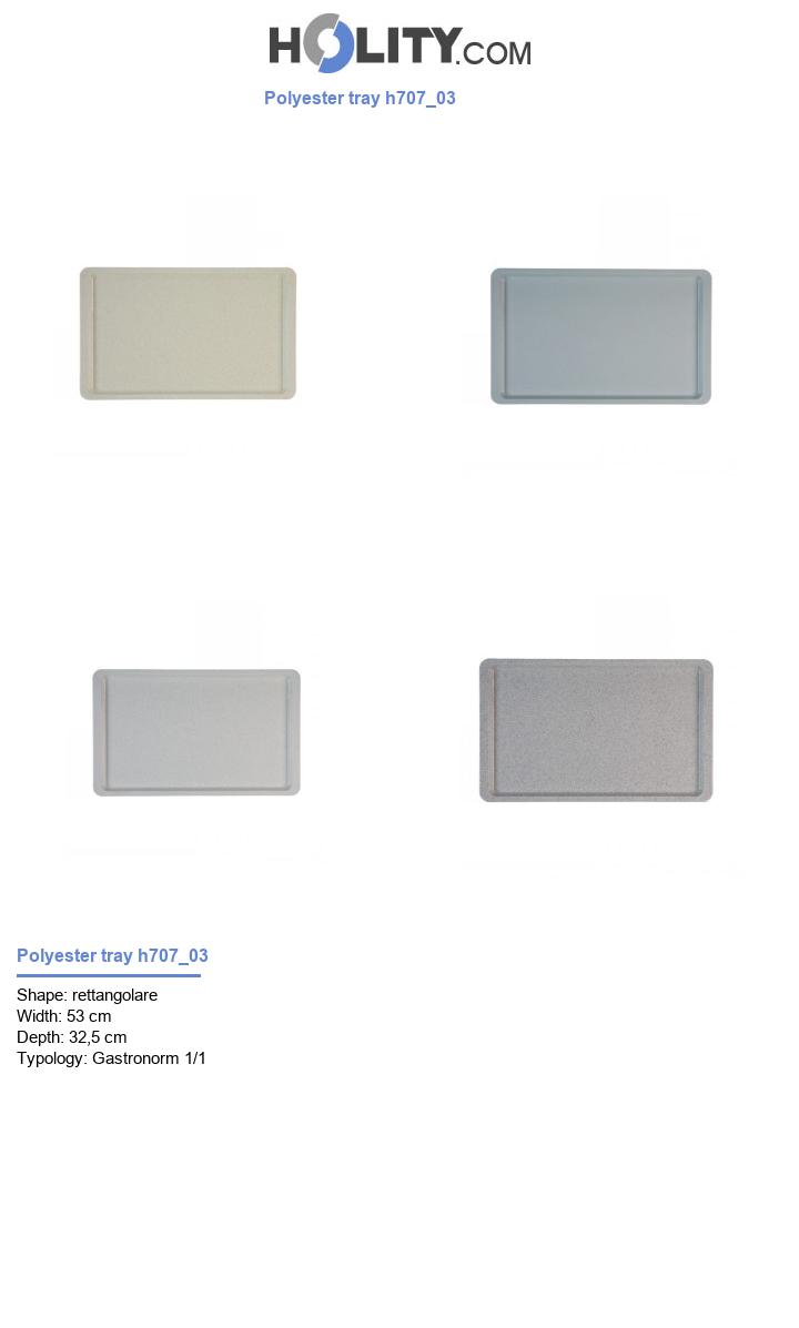 Polyester tray h707_03