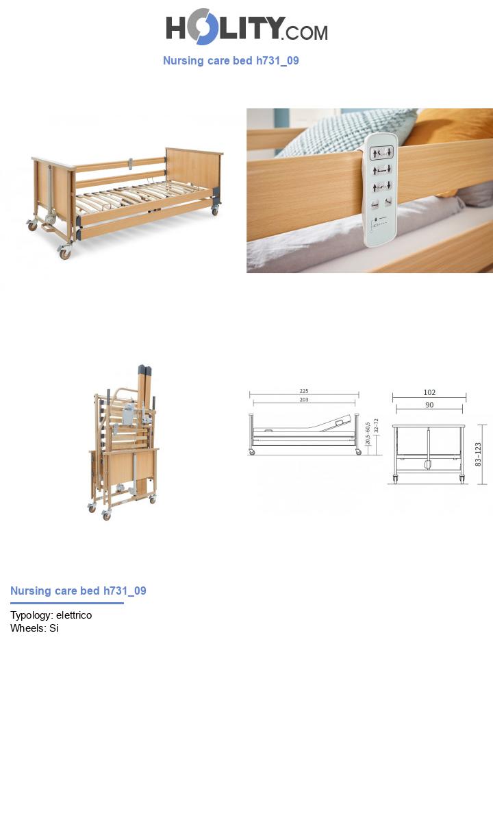 Nursing care bed h731_09