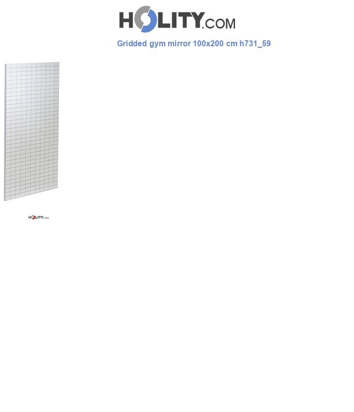 Gridded gym mirror 100x200 cm h731_59