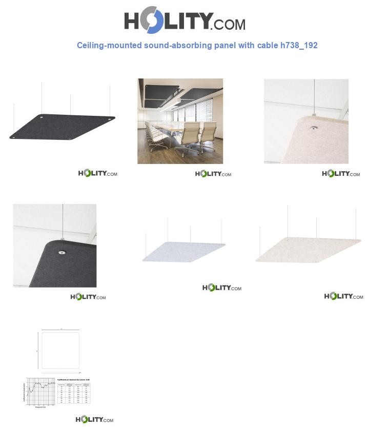 Ceiling-mounted sound-absorbing panel with cable h738_192