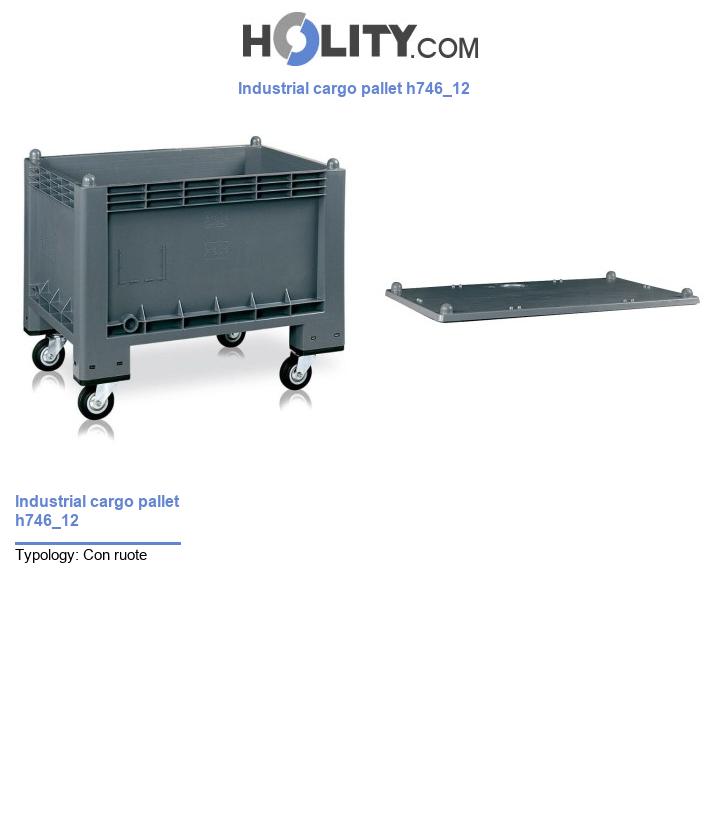 Industrial cargo pallet h746_12