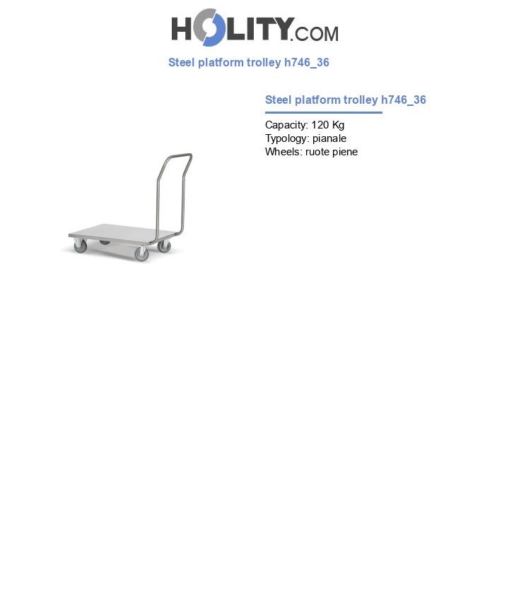 Steel platform trolley h746_36