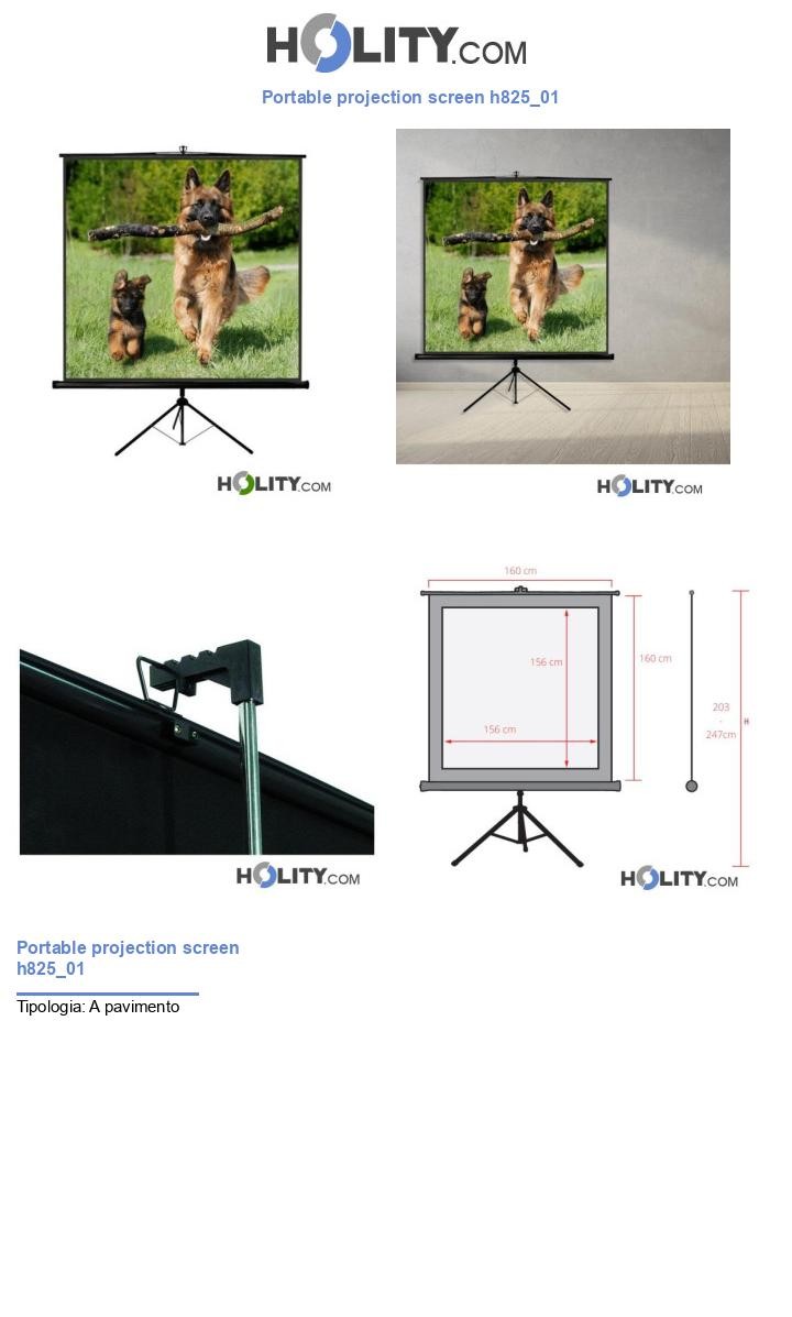 Portable projection screen h825_01