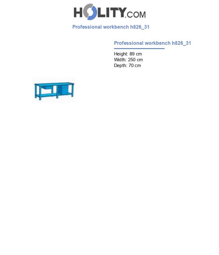 Professional workbench h826_31