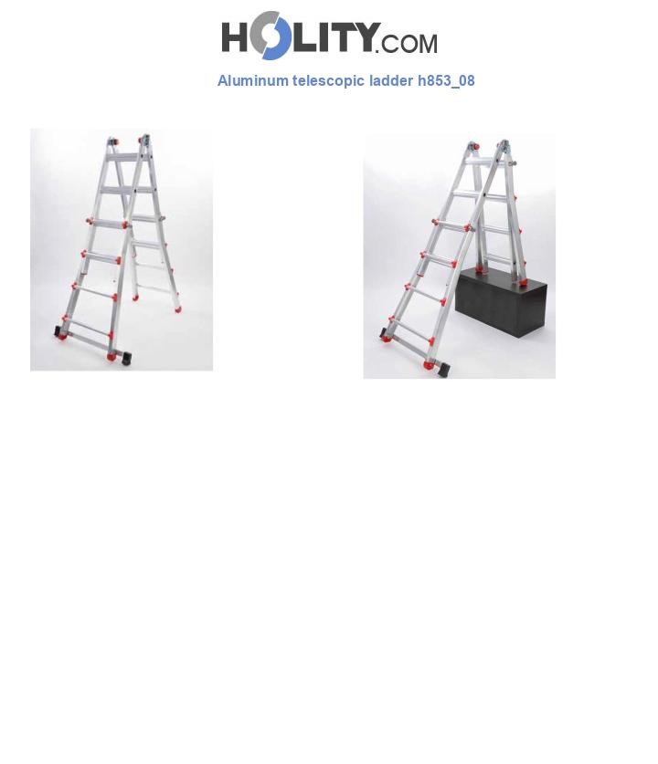 Aluminum telescopic ladder h853_08