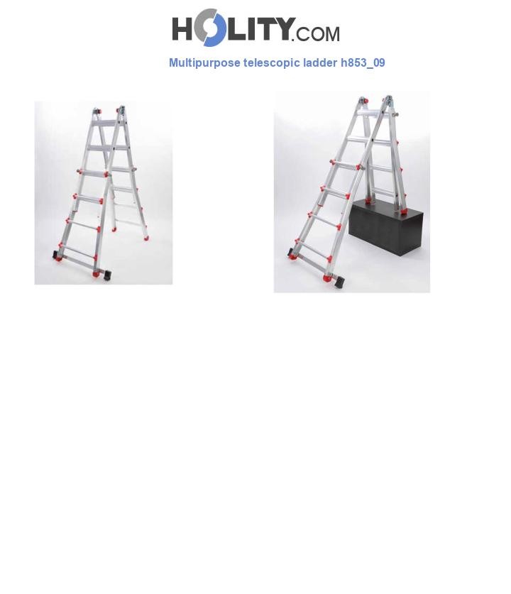 Multipurpose telescopic ladder h853_09