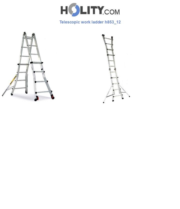 Telescopic work ladder h853_12