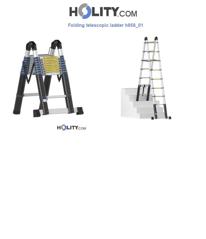 Folding telescopic ladder h858_01