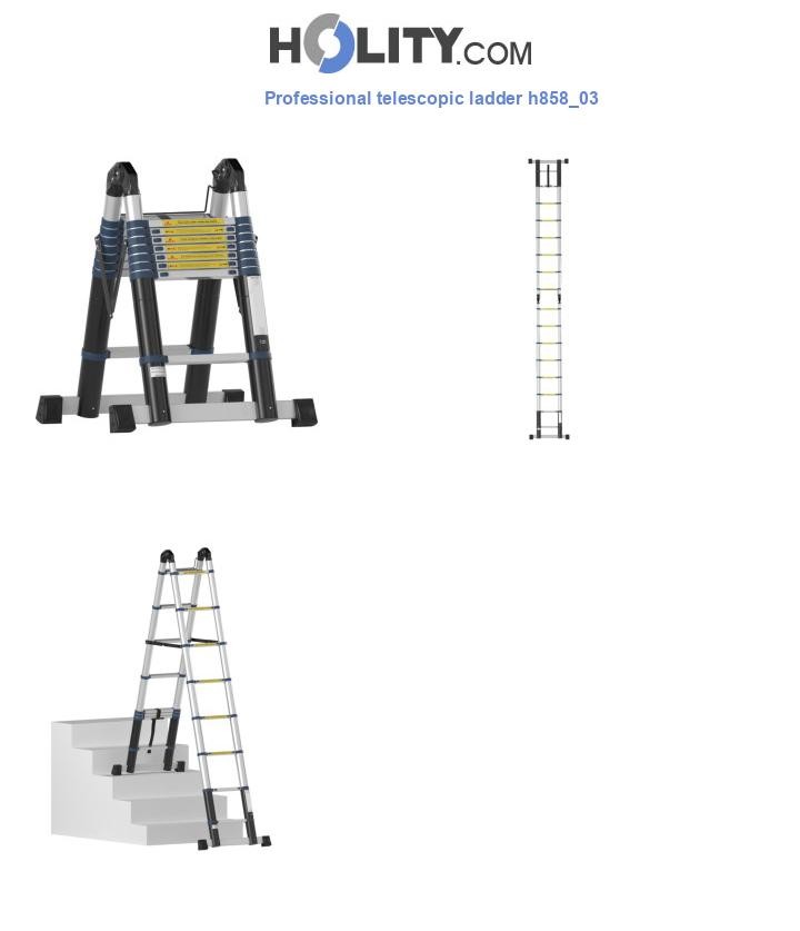 Professional telescopic ladder h858_03