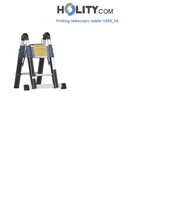 Folding telescopic ladder h858_04