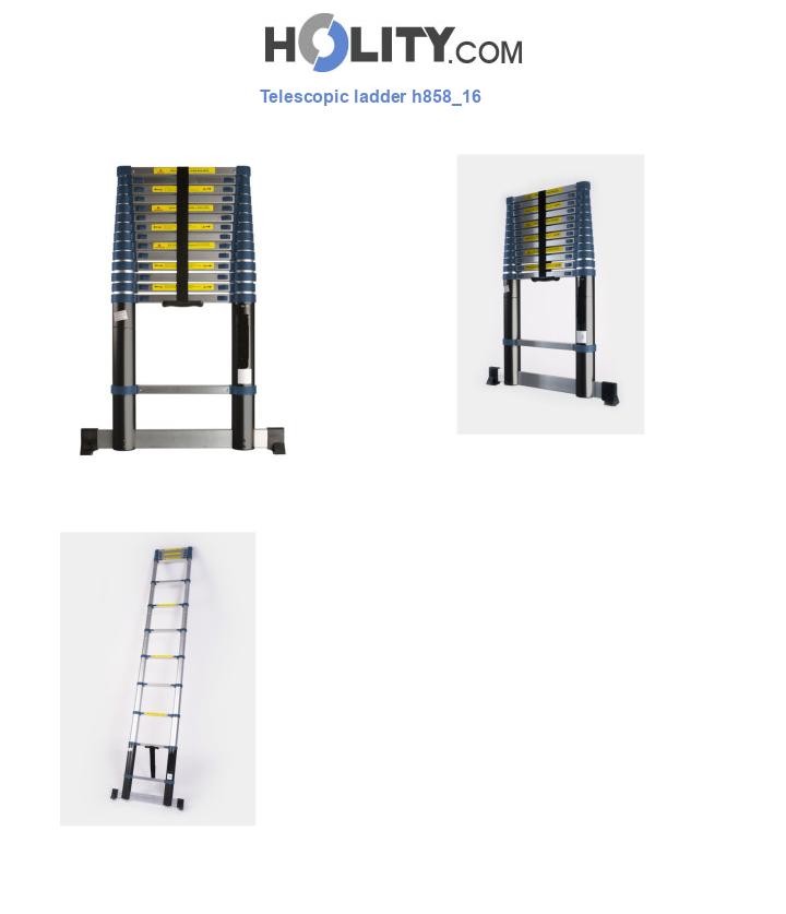 Telescopic ladder h858_16