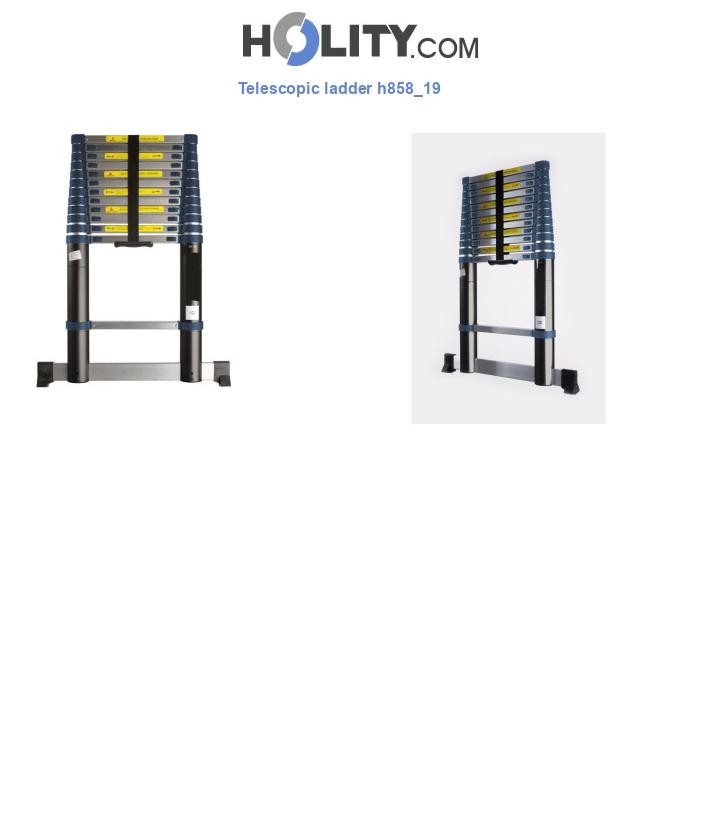 Telescopic ladder h858_19