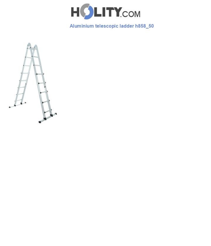Aluminium telescopic ladder h858_50