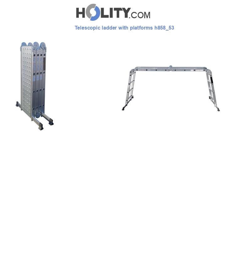 Telescopic ladder with platforms h858_53