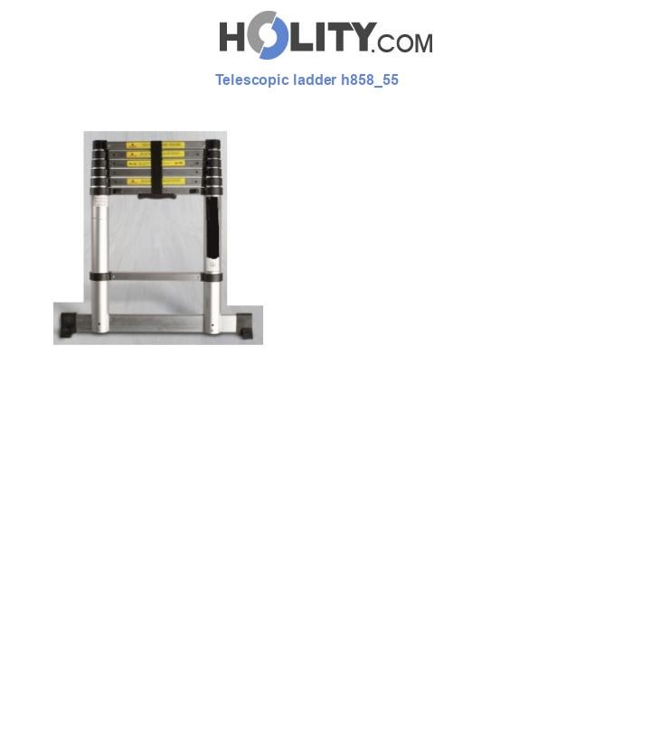 Telescopic ladder h858_55