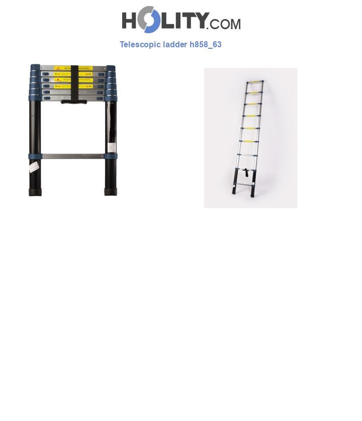 Telescopic ladder h858_63