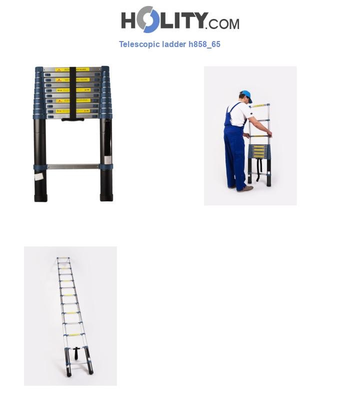 Telescopic ladder h858_65