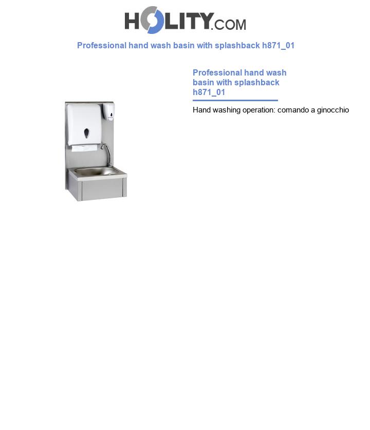 Professional hand wash basin with splashback h871_01