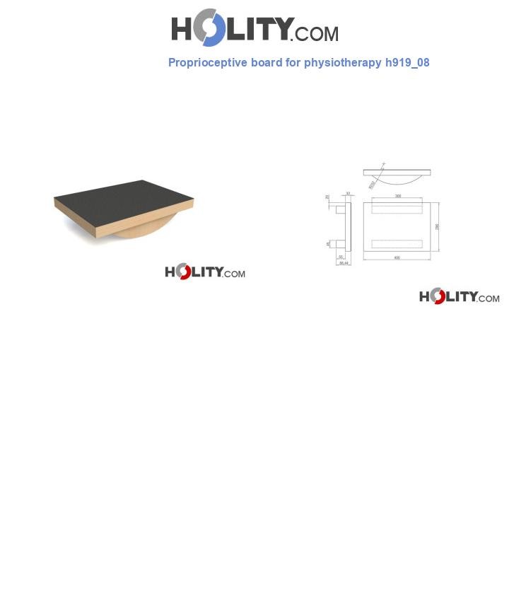Proprioceptive board for physiotherapy h919_08
