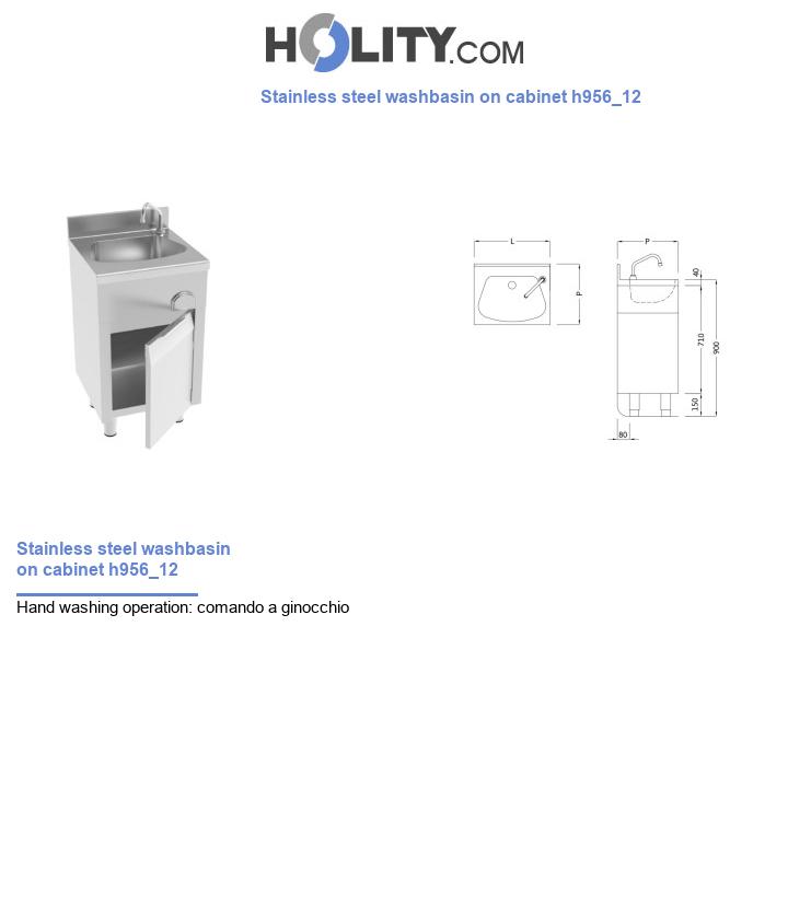 Stainless steel washbasin on cabinet h956_12