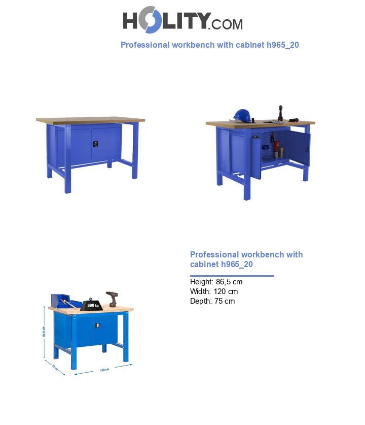 Professional workbench with cabinet h965_20