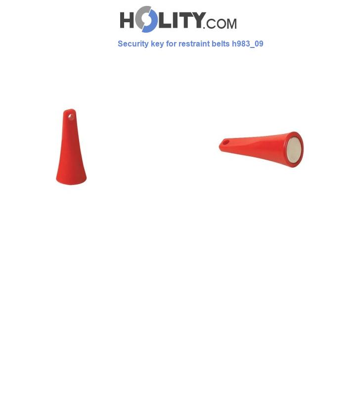 Security key for restraint belts h983_09